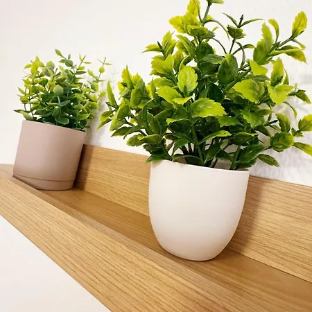 L'ecrin Des Forges Maison Cosy 1 A 6 Voyageurs *