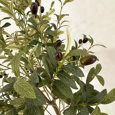 L'ecrin Des Forges Maison Cosy 1 A 6 Voyageurs