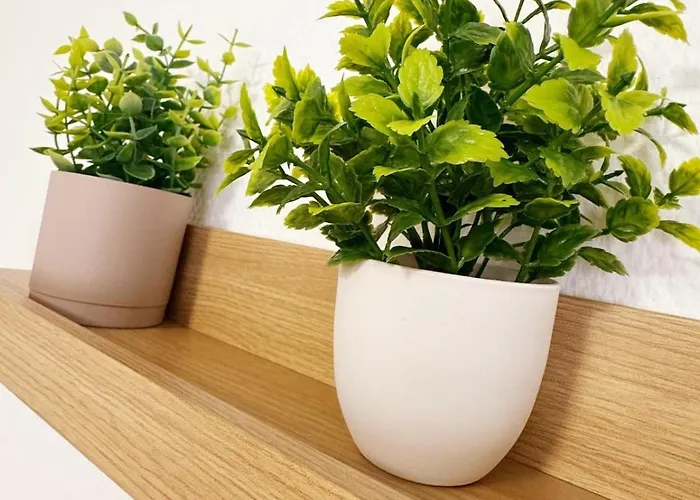 L'ecrin Des Forges Maison Cosy 1 A 6 Voyageurs *