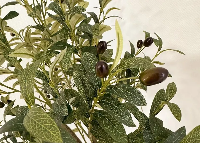 L'ecrin Des Forges Maison Cosy 1 A 6 Voyageurs